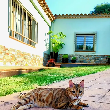 Del Sol Villa Santa Cristina d'Aro